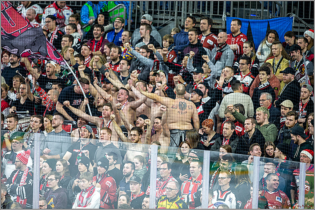 DEL;  Koelner Haie - Fischtown Pinguins Bremerhaven; Koeln, 22.12.2019